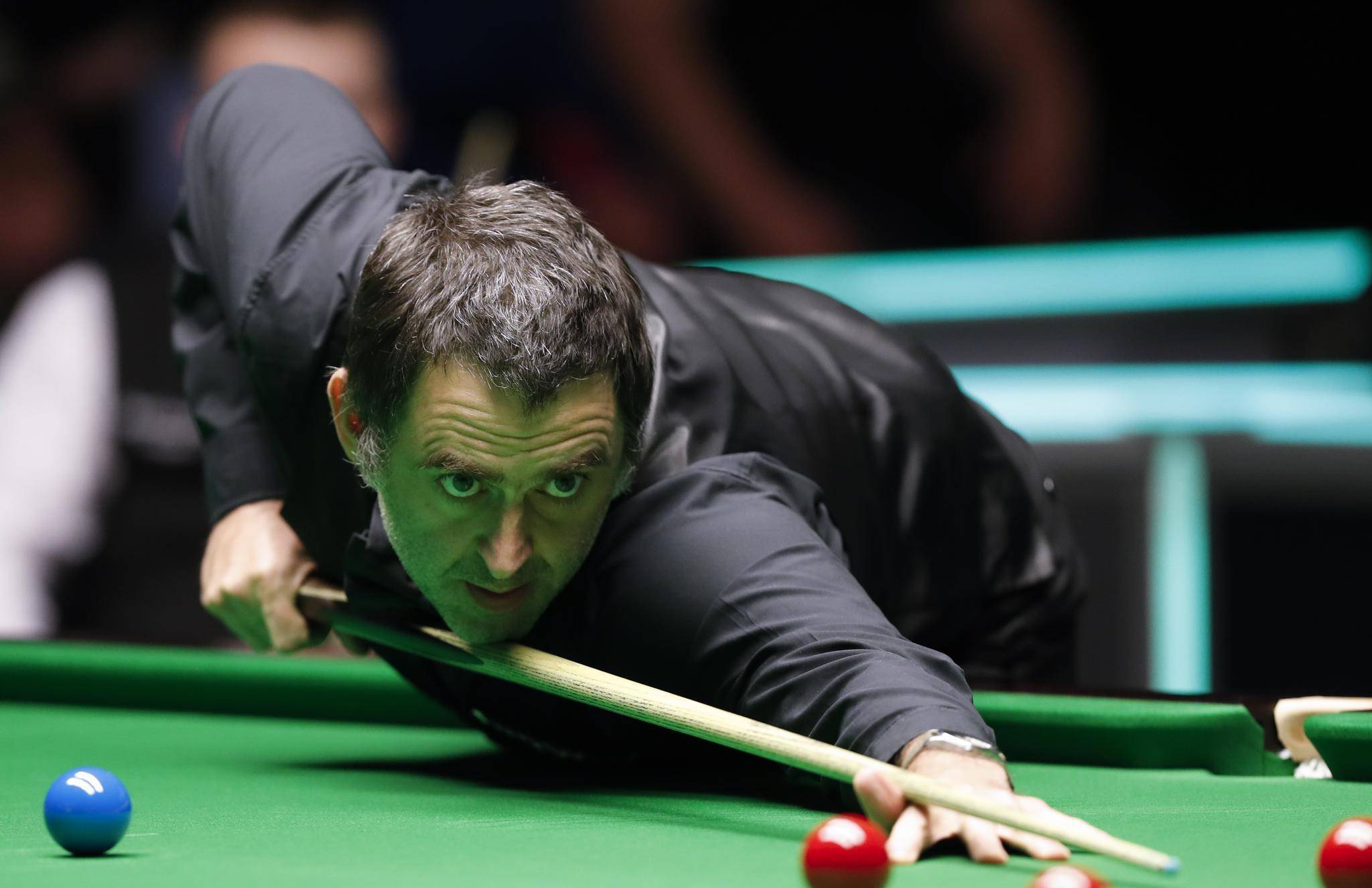 我们展示了 我们展示了