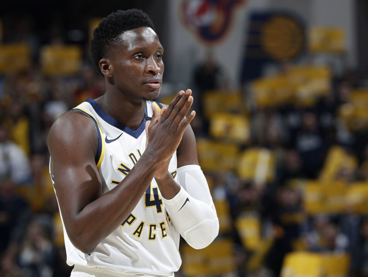 了迅捷的反 了迅捷的反